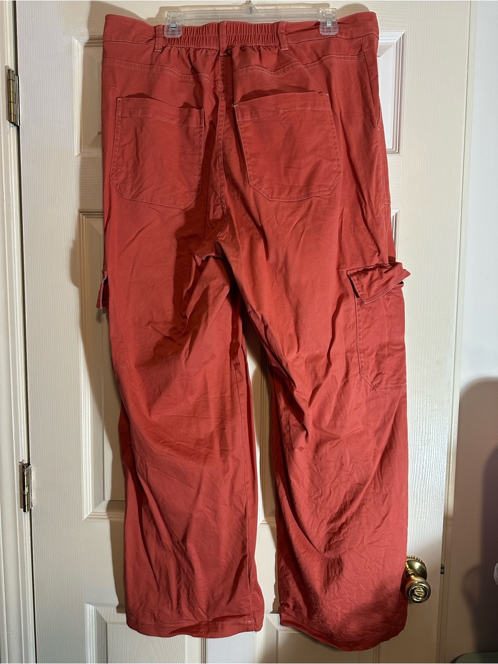 wild fable Wide-Leg Cargo Pants in Rust - Picture 2 of 3